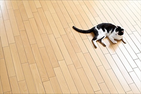 ペット用フローリング、クッションフロア